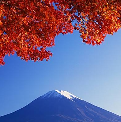 日本村加盟支持有哪些？