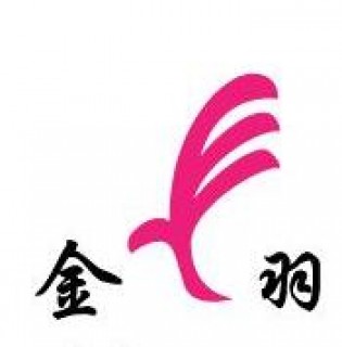 金羽藝術(shù)高考