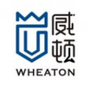威頓教育