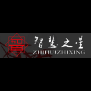 智慧之星藝術(shù)教育