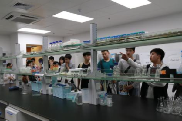 僑大教育加盟利潤怎么樣