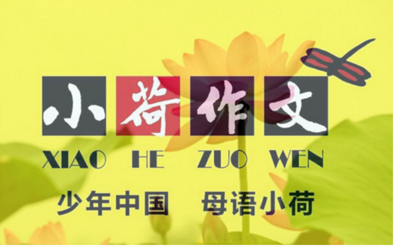 蘇州小荷作文加盟