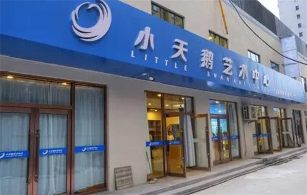 小天鵝藝術培訓中心加盟費多少錢?