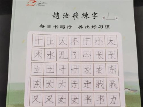 趙汝飛梯形格練字法可以加盟嗎?