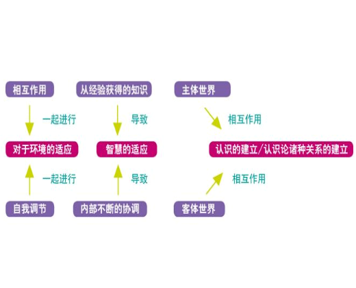 瑞思瑪特