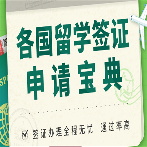 新通國際