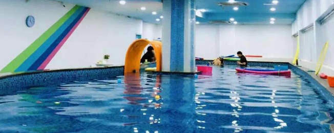 么么家親子水育早教加盟