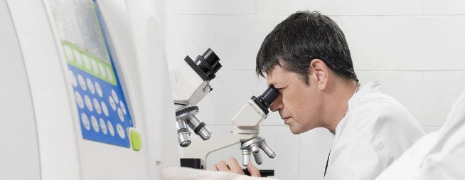 哈利魔法科學加盟