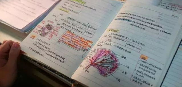 優(yōu)勝個性學加盟