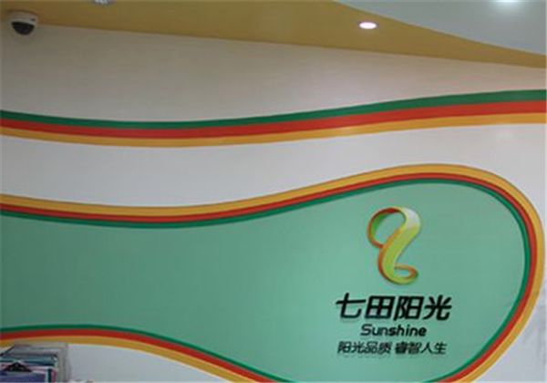 七田陽(yáng)光全腦