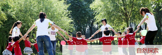 北大青鳥(niǎo)幼兒園加盟