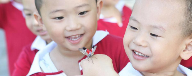 北大青鳥(niǎo)幼兒園加盟