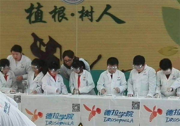 德拉學(xué)院加盟