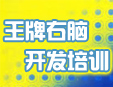 王牌右腦開發