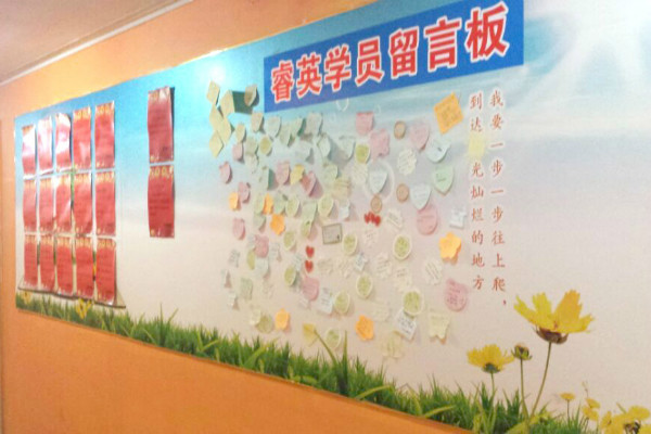 睿英教育加盟