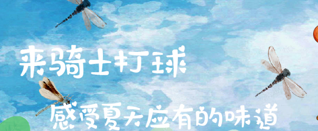 騎士體育加盟