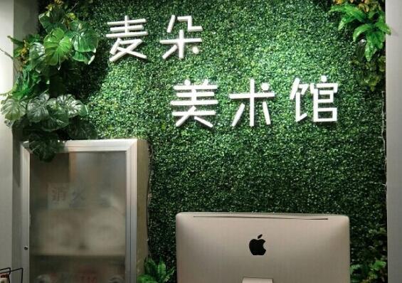 麥朵美術(shù)加盟