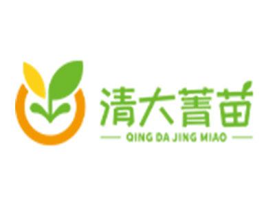 清大菁苗素質(zhì)教育