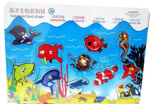 生物海洋啟蒙教材玩具加盟