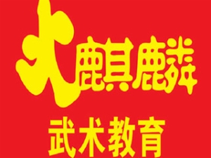 火麒麟武術(shù)教育