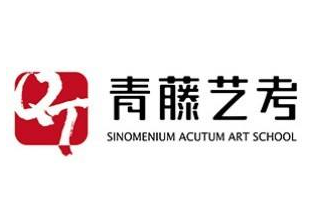 青藤藝考培訓(xùn)中心