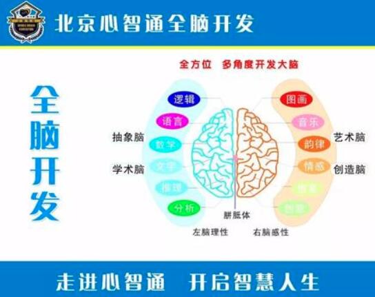 左右腦開(kāi)發(fā)訓(xùn)練加盟