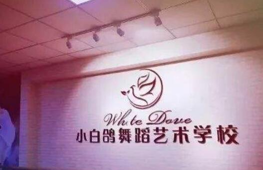 聊城小白鴿舞蹈學校加盟