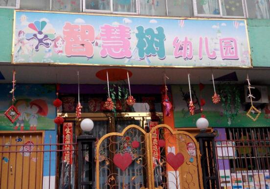 智慧樹幼兒園加盟