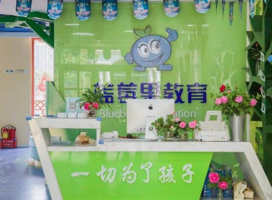 藍莓果幼小銜接加盟