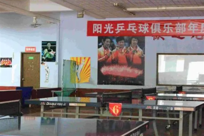 陽(yáng)光乒乓球俱樂(lè)部加盟條件是什么？